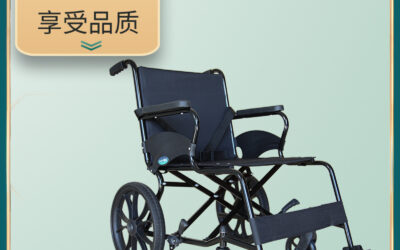 世界那么大我想去看看-互邦老宝贝轮椅租赁让旅游更简单